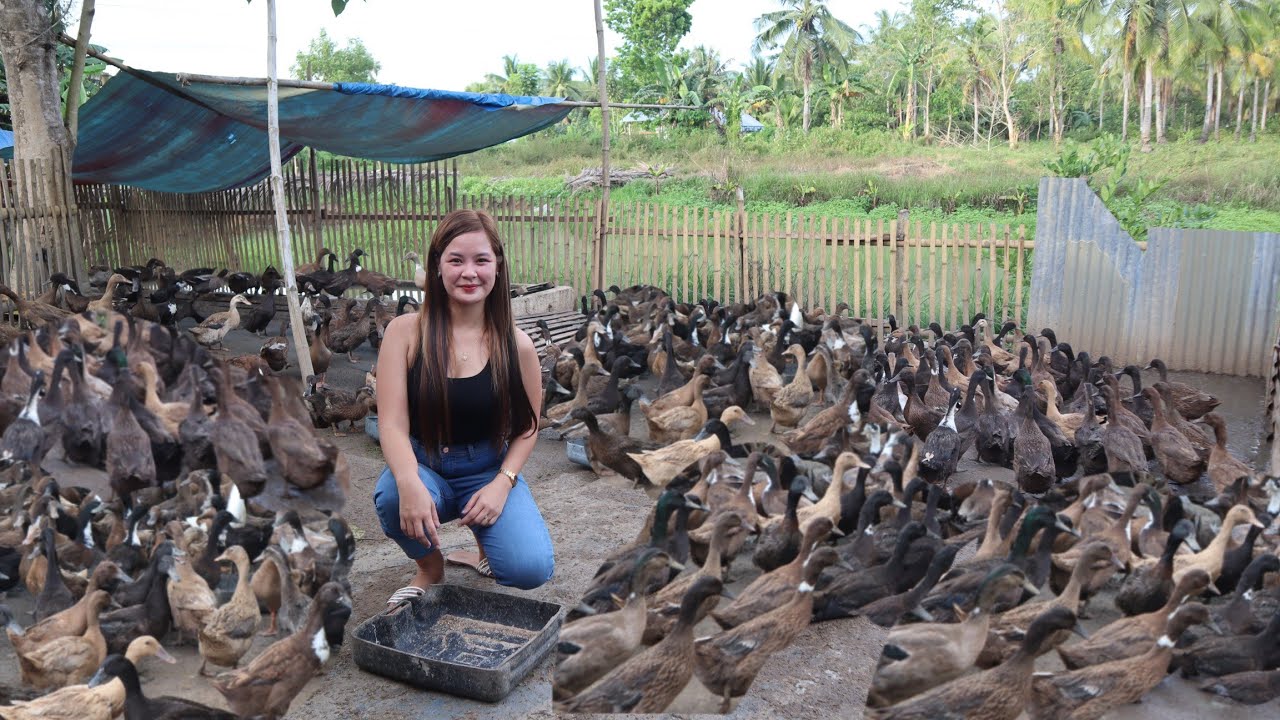 Binisita ko ang Itikan Farm Supplier ng Balut sa Trinidad Bohol 🦆🦆 ITIK PINAS FARM