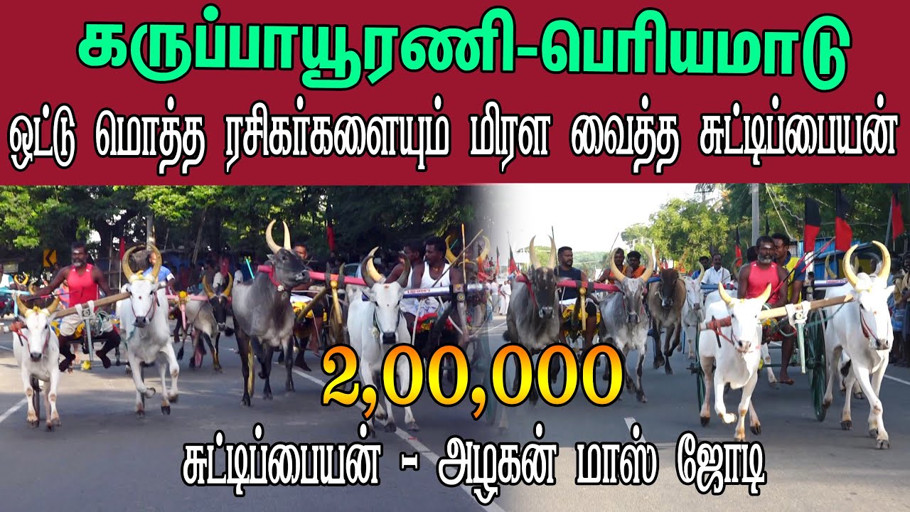 ETSS reckla race - கருப்பாயூரணி (பெரியமாடு-22.05.2022) bulls race