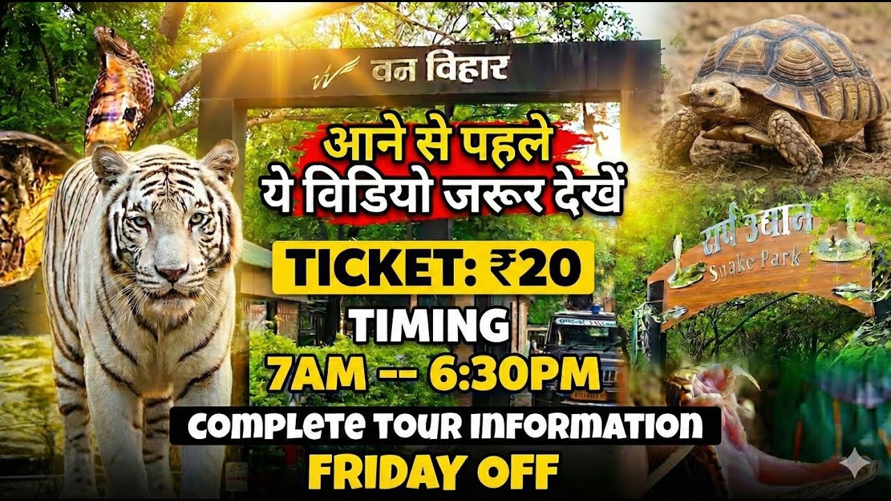 Van Vihar National Park Bhopal Full Tour | Complete Guide, Ticket Price, Timings & Wildlife Safari