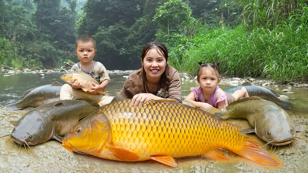 Catching School of GIANT FISH in Mud Pond | Fishing Day with Chuc Duong Family #15 | Village Life