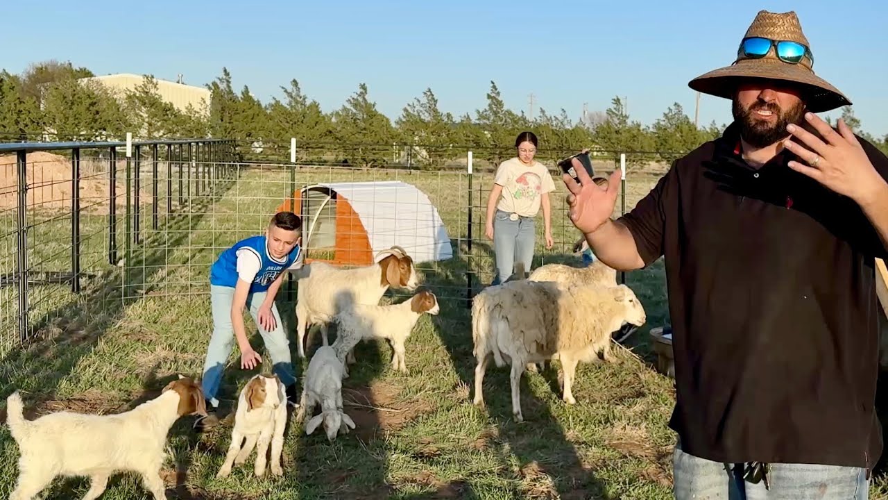 Ya Tenemos Animales en el Ranchito 😜