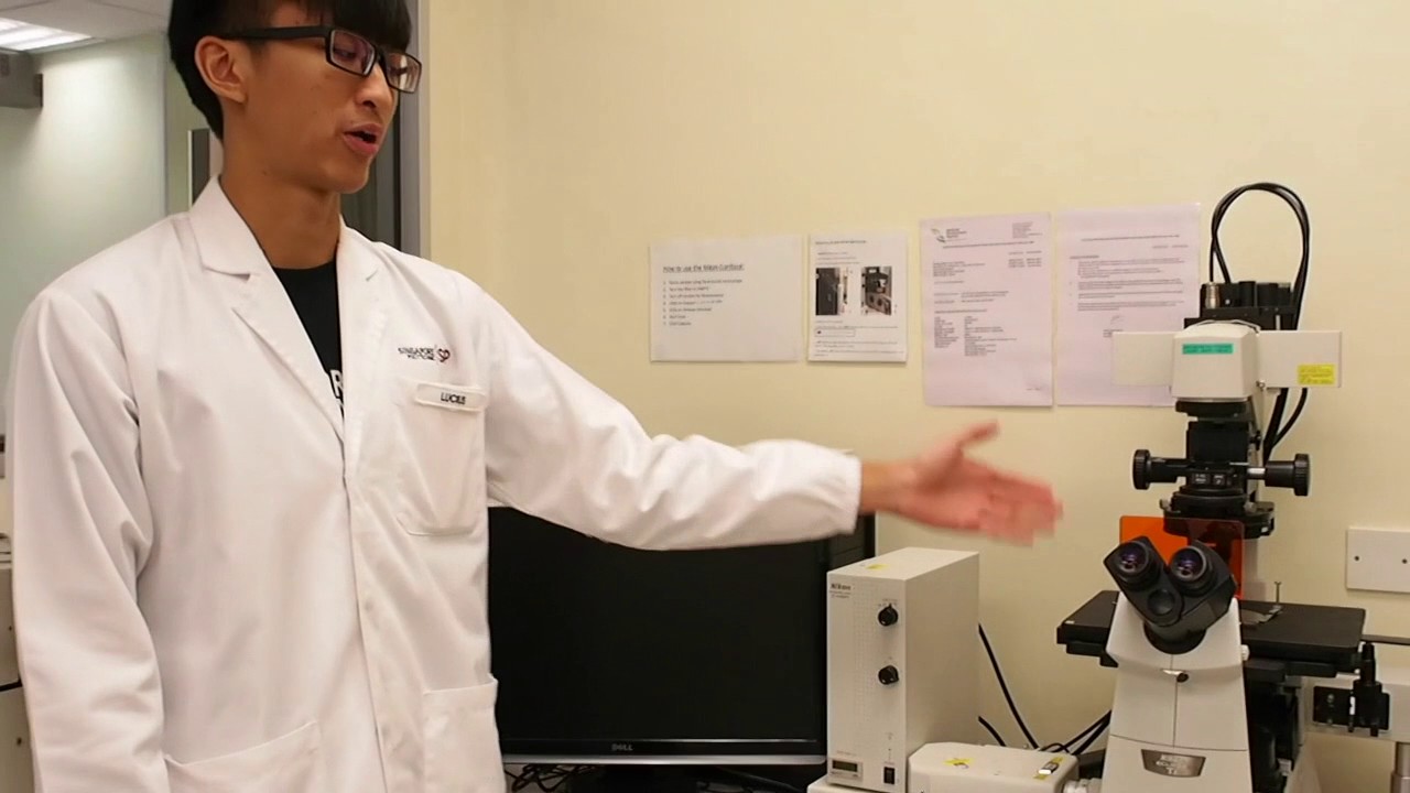 How to Operate a Confocal Microscopy