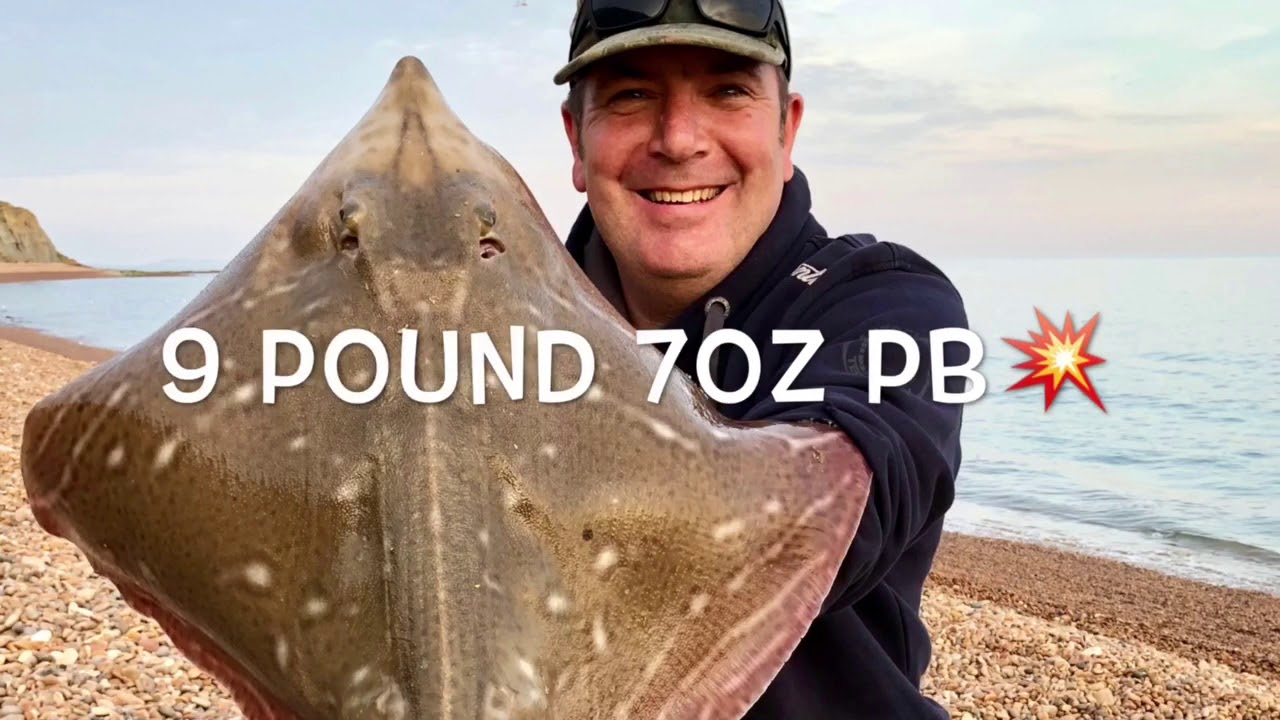 SEATOWN SMALL EYED RAY