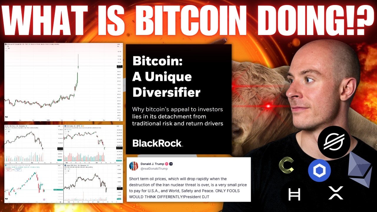 Why Is Bitcoin Up When Everything Else Is Crashing.. Is BlackRock Right?? Oil Historic Data...