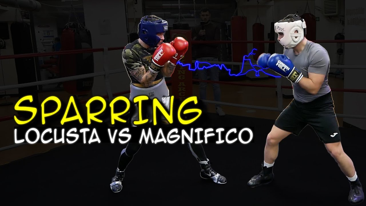 SPARRING DAY - Locusta vs Magnifico - Affrontare un pugile mancino