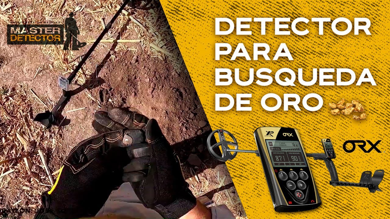 Conoce el Increíble Detector de Oro XP ORX.