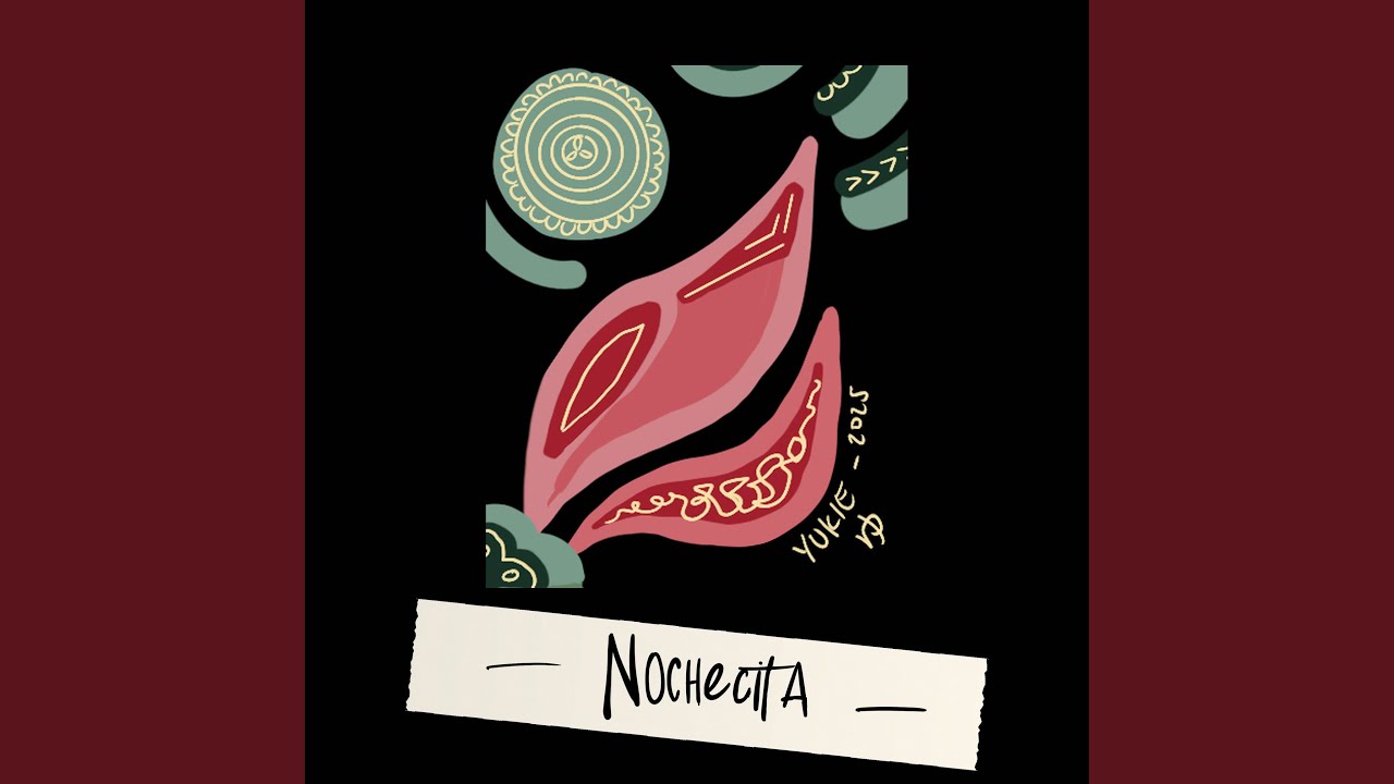 Nochecita