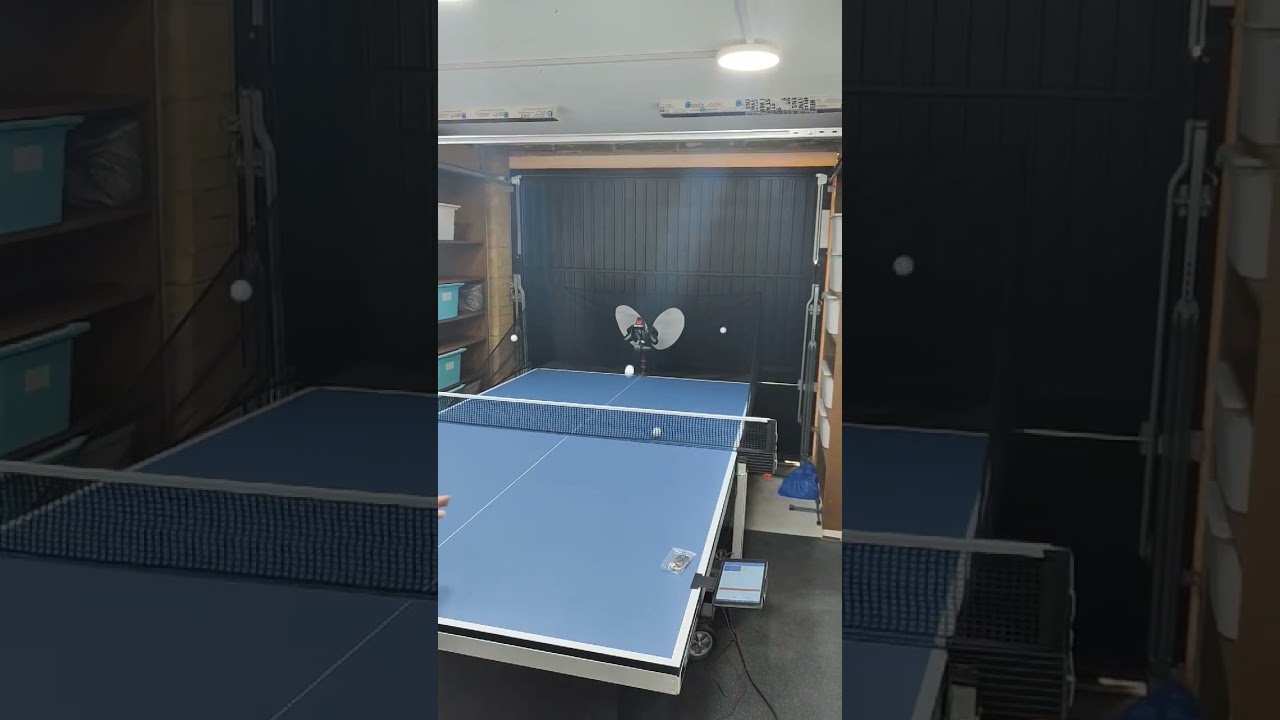 Butterfly Amicus Prime