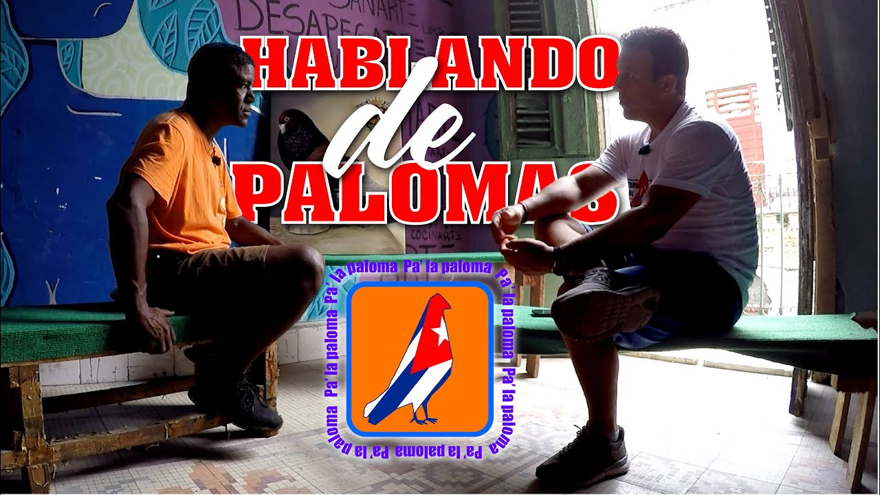 TEMAS de PALOMAS con EVIAN ALONSO 2da Parte / Casa de la Paloma