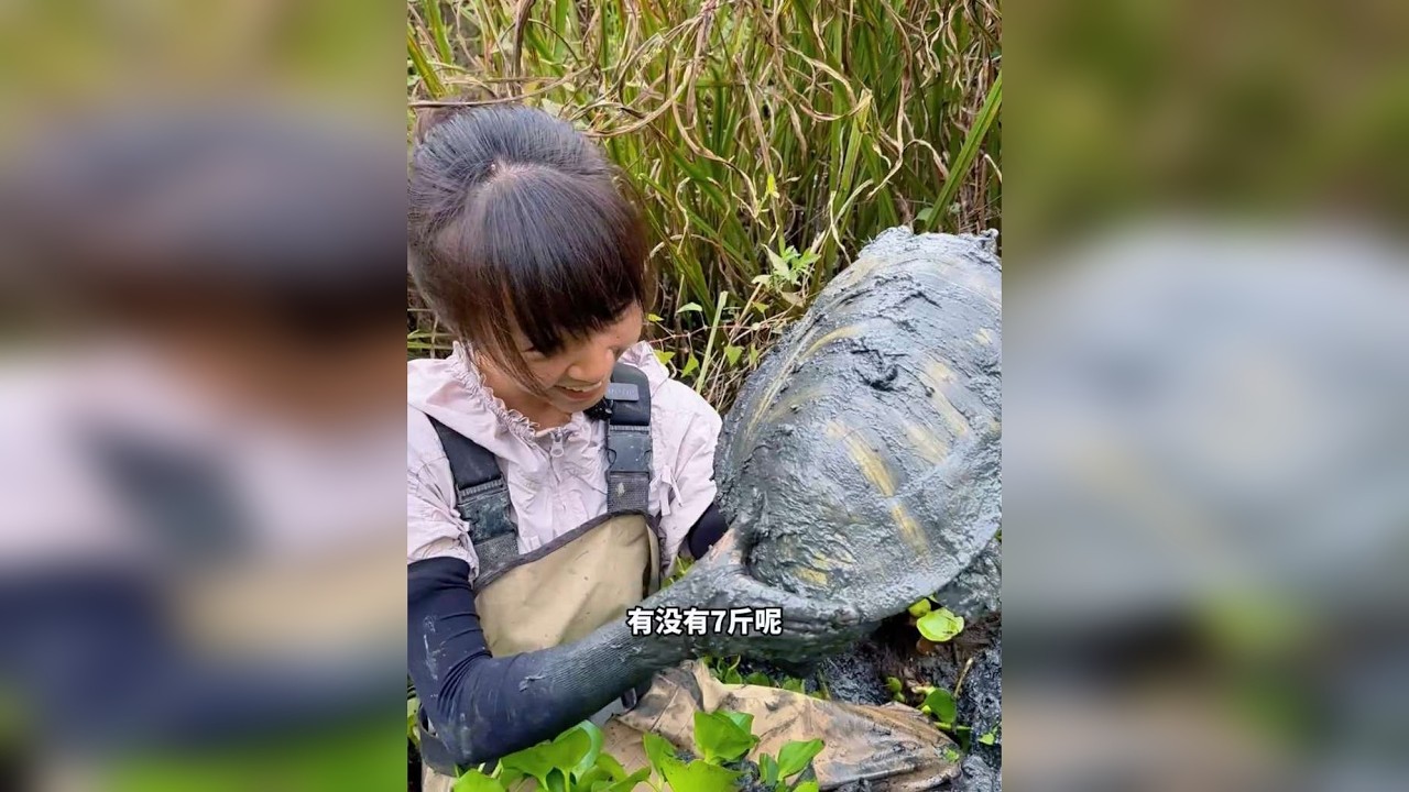 1500包下一口鱼塘，里面到底能抓多少货?是亏还是赚?