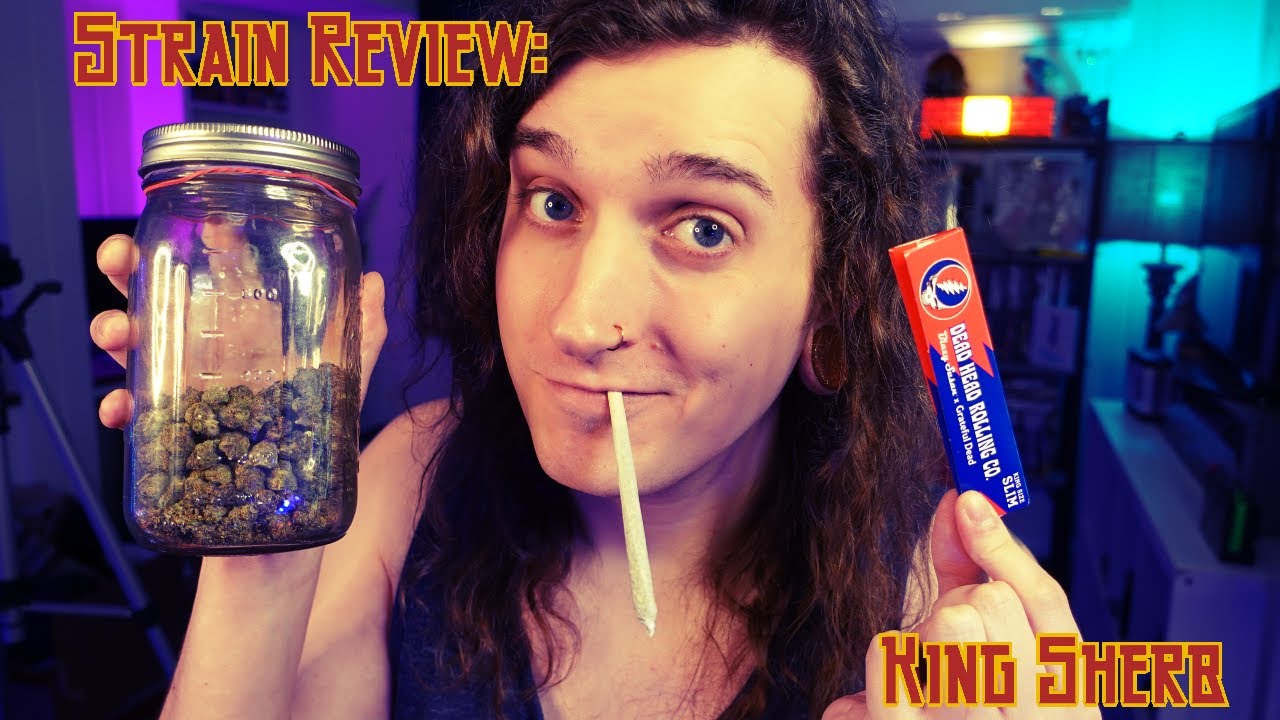Dragon's Strain Review: King Sherb
