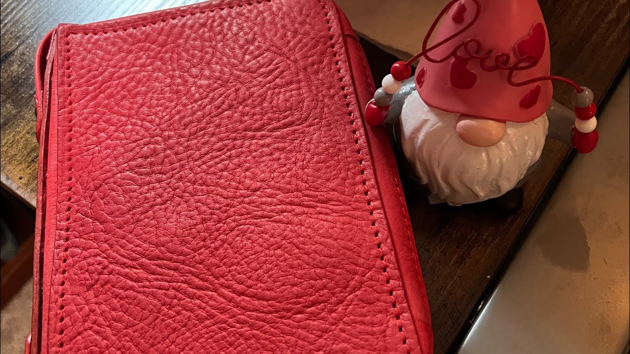 Apple 🍎 Pig 🐷 NEW zippered TN a personal size!
