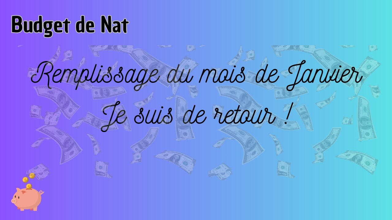 ~ Je suis de retour ! Je représente mon budget planner et mes classeurs budget, et remplissage ~