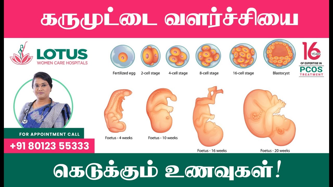 கருமுட்டை வளர்ச்சியை கெடுக்கும் உணவுகள்!