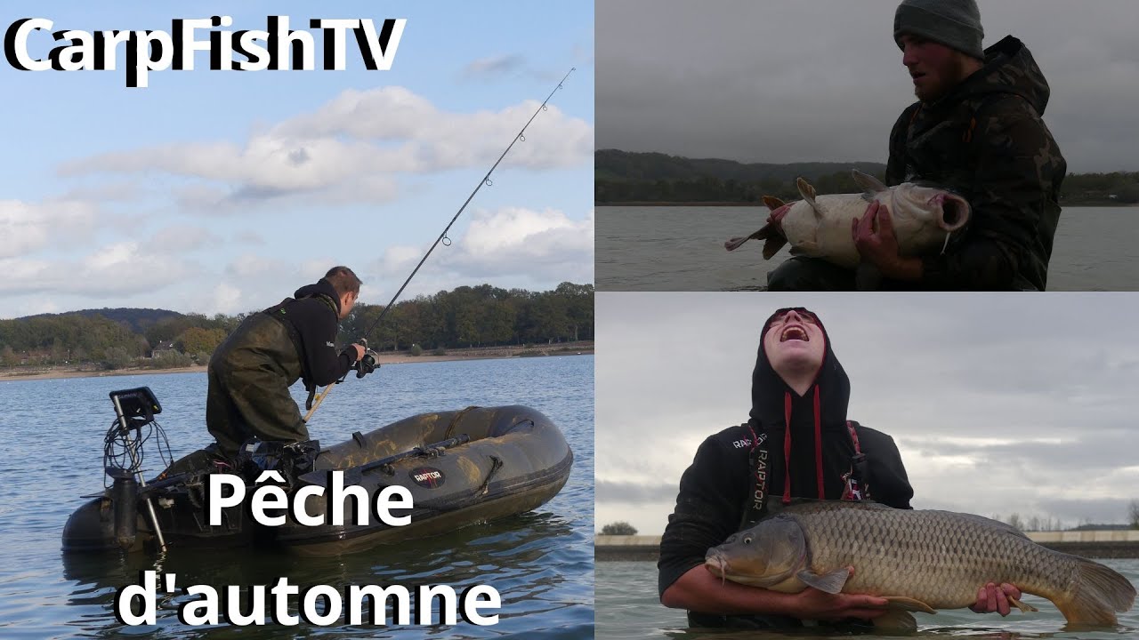Pêche d'automne fructueuse - PECHE DE LA CARPE - 4K