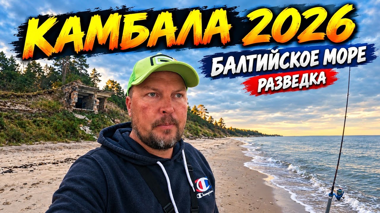 Рыбалка на Балтийском море. Камбала 2026. Разведка. Собираю немного грибов-подосинавики в лесу. 