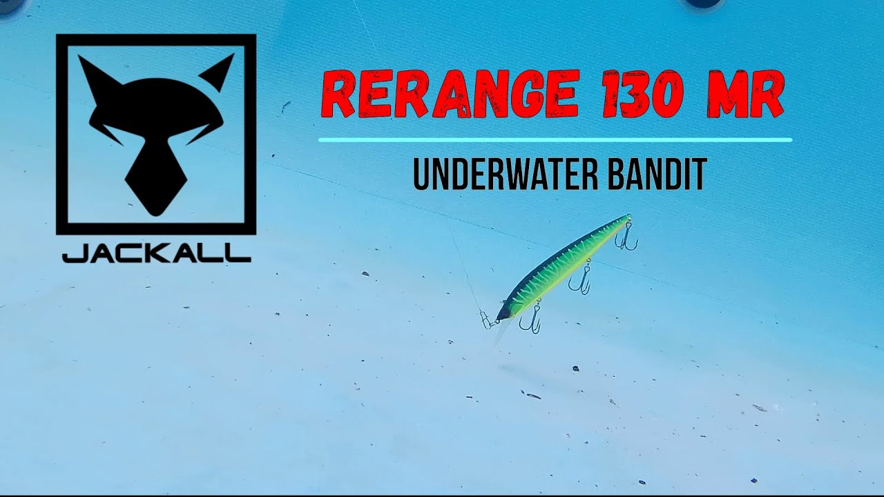 Minnows Rerange 130 Jackall bait Underwater filming