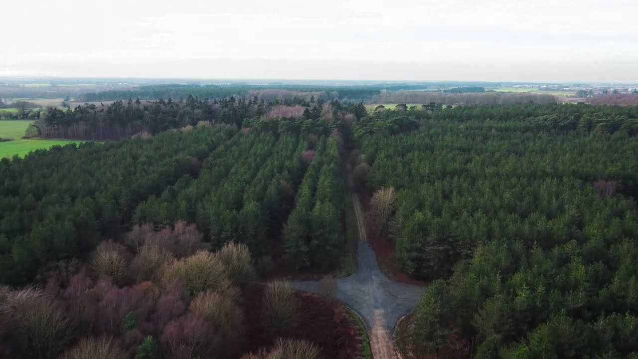England Forest Walk: Cinematic POV ASMR Walk to an 11th-Century Church