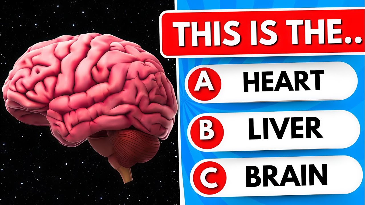Can You Pass This Human Body Quiz ? Take This Question Anatomy Quiz! 🧠🤯