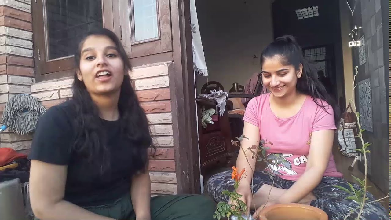 Plants lgana start hi kra tha or ye ho gya 🙄🤔 !!!!!