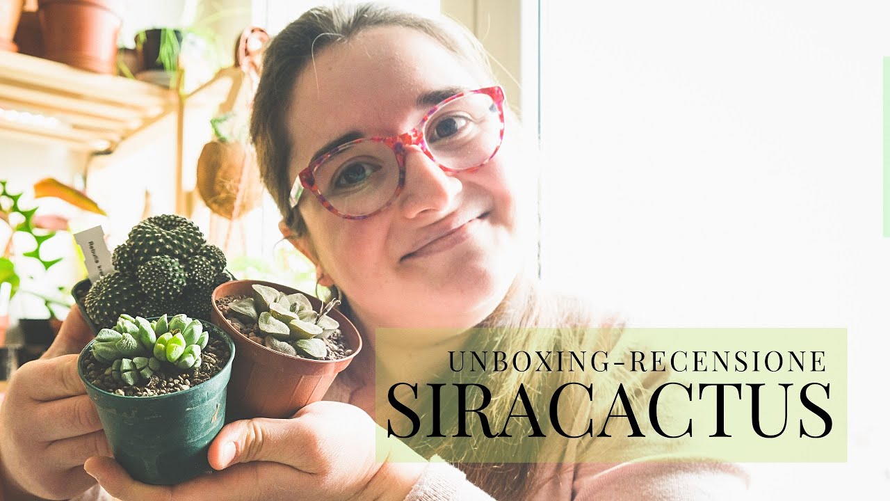 Unboxing nuove piante! Recensione azienda online SIRACACTUS! #piantegrasse #siracactus