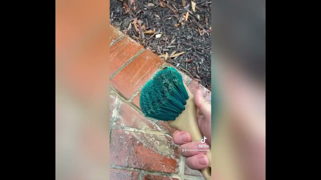 Cleaning Moldy Brick Walkway