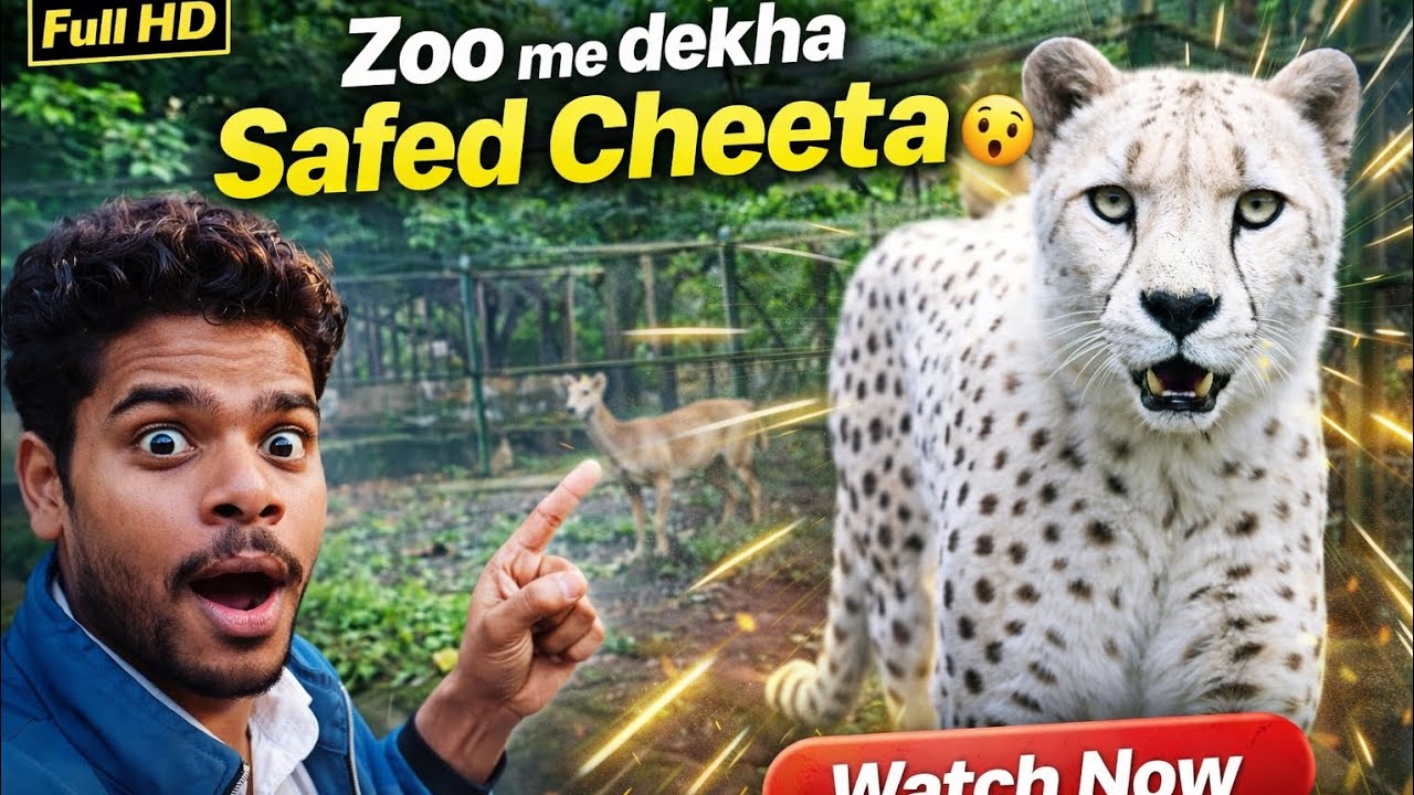 4  ZOO🦒 ME DEKHA 👀SAFED CHEETA 🫨 #vlog #zoo #vlogging #chidiyaghardelhi Gaurav vlogger