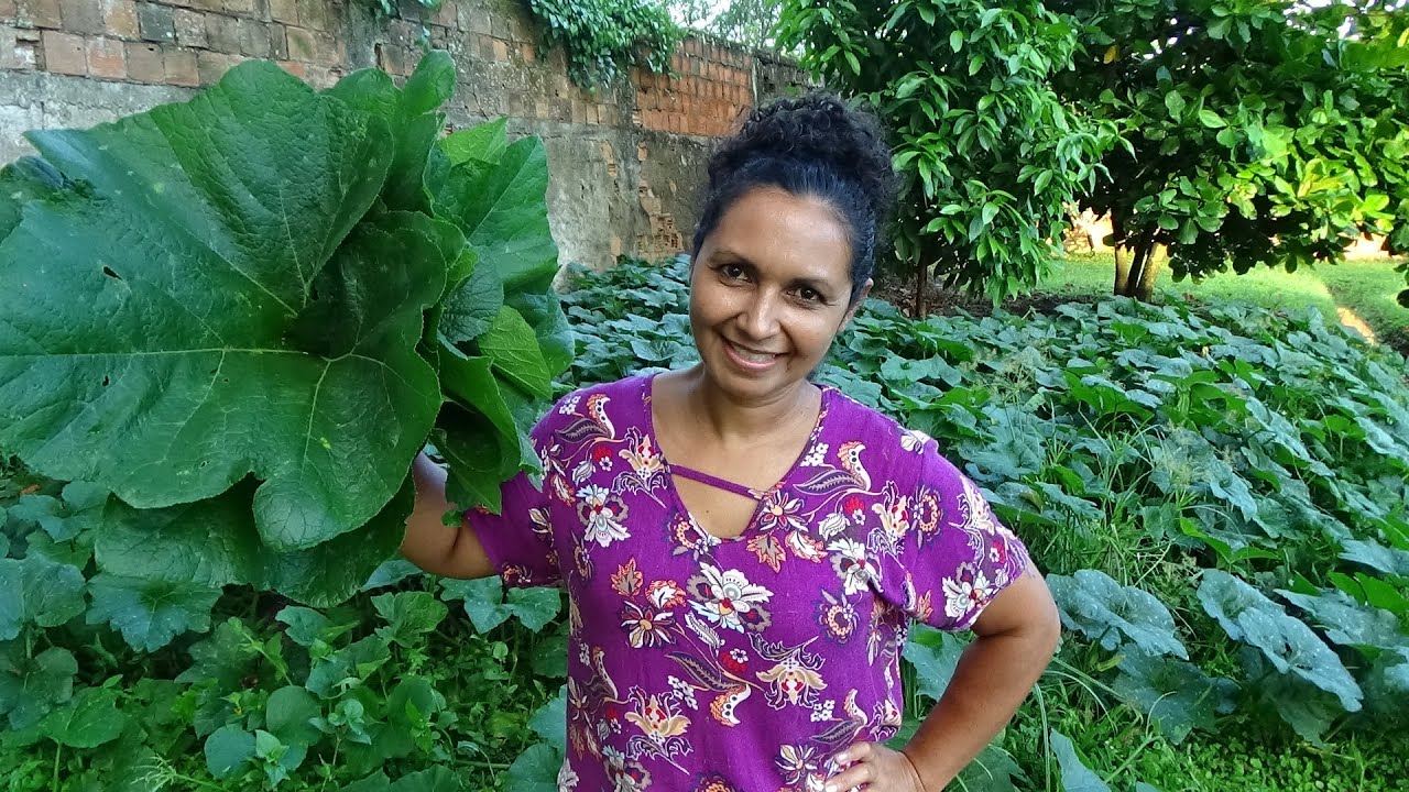 TROUXINHA COM FOLHA DE ABÓBORA E PASSEIO NO BOSQUE