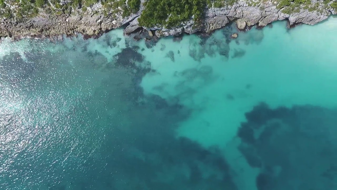 Beach - Free Stock Footage