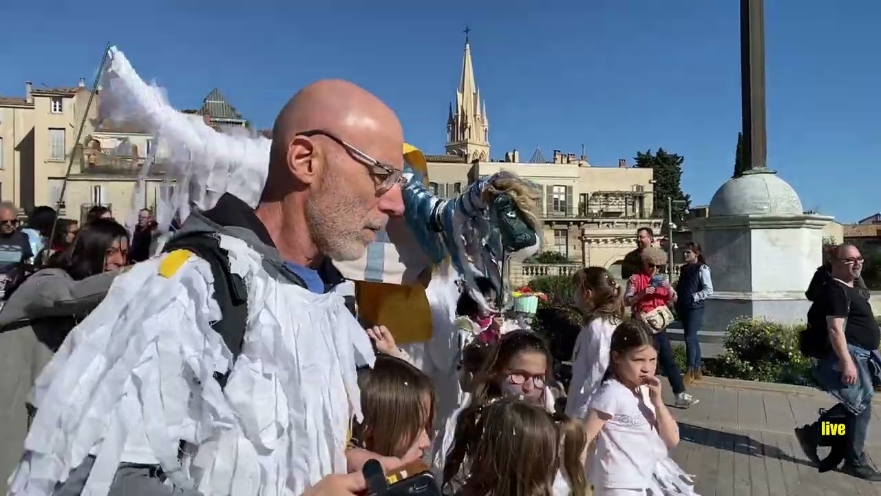 C'est le carnaval Occitan à Montpellier !