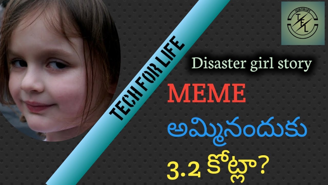 Disaster girl story in telugu | Meme sold for 3.2 crs | zoe roth meme story explained