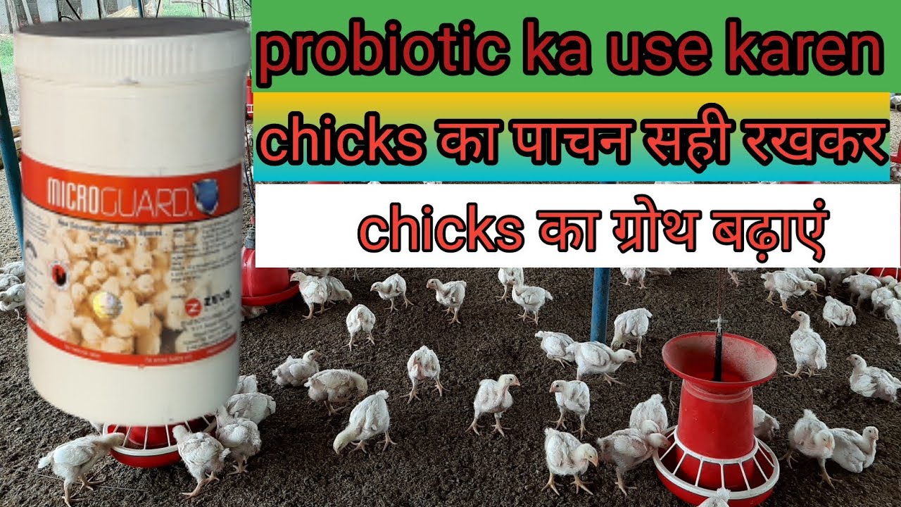 Probiotic ka use karen