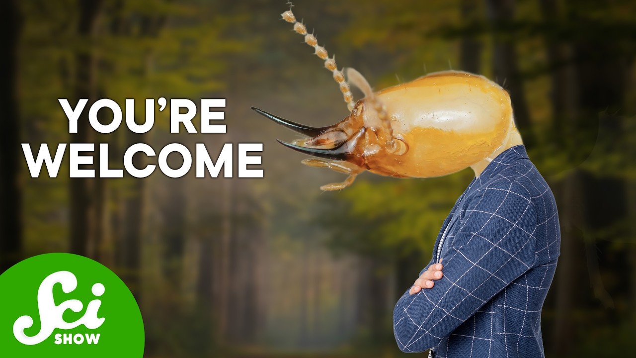 Termites Are Great for Trees, Actually.