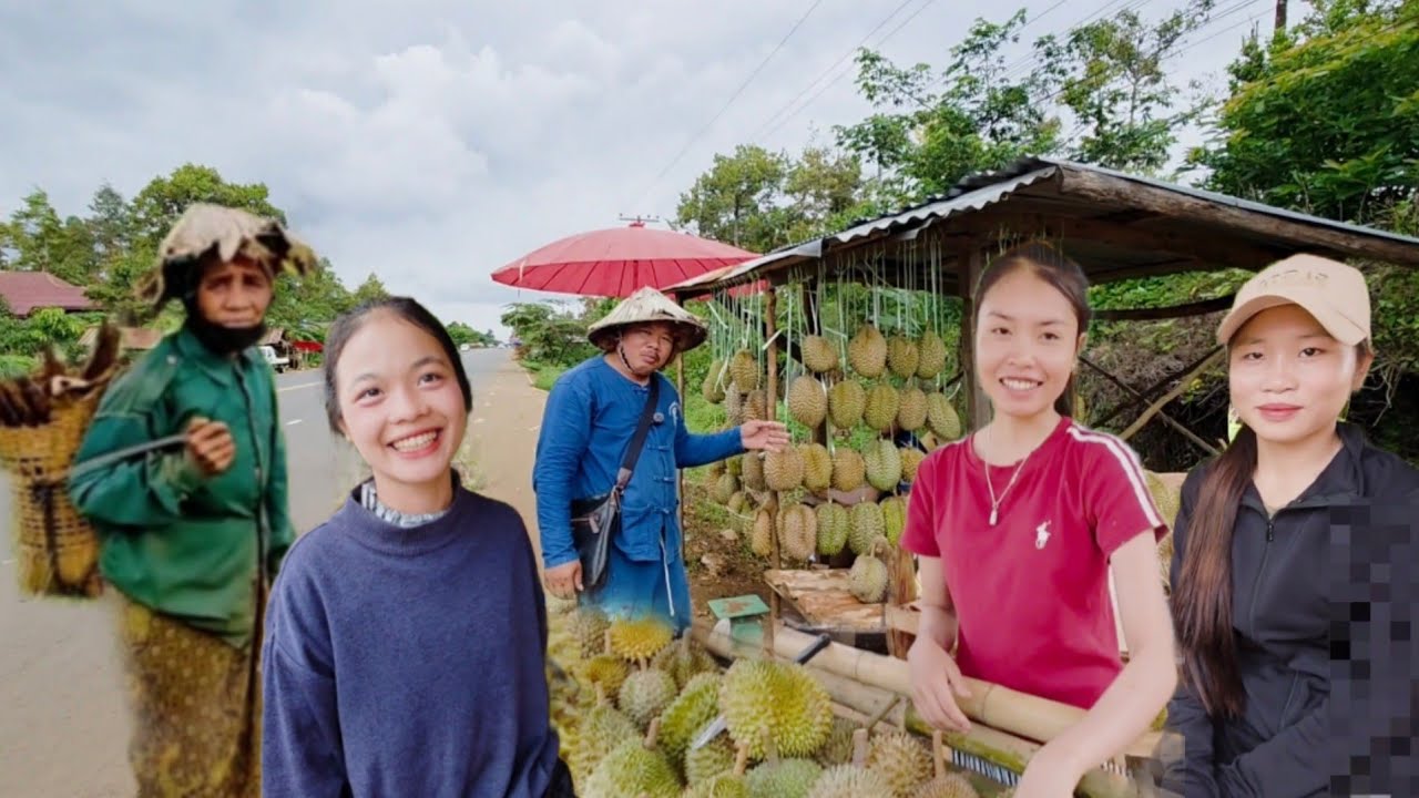 #เที่ยวลาวใต้ ทุเรียนพื้นบ้านช่วงนี้ออกเต็ม ลาวใต้น่าเที่ยวมากช่วงหน้าฝน ถนนดี #สาวลาว ขายทุเรียน
