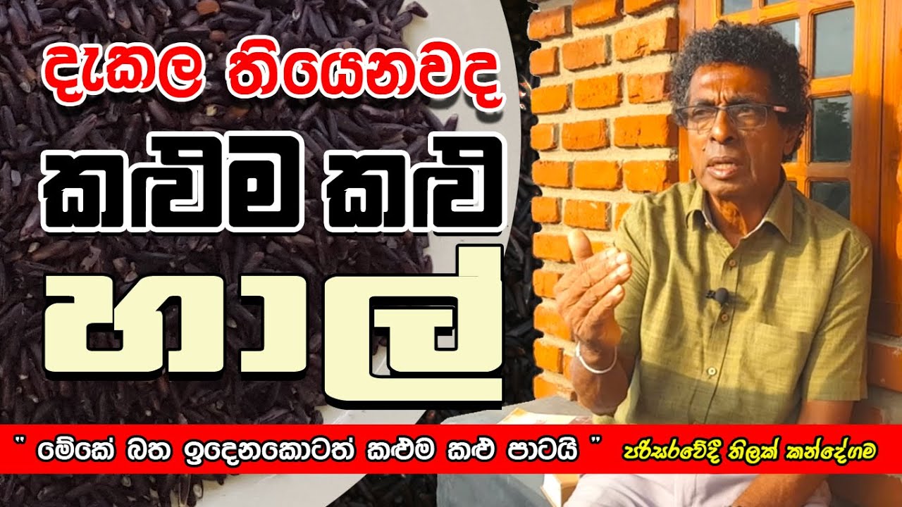 දැකල තියෙනවද 