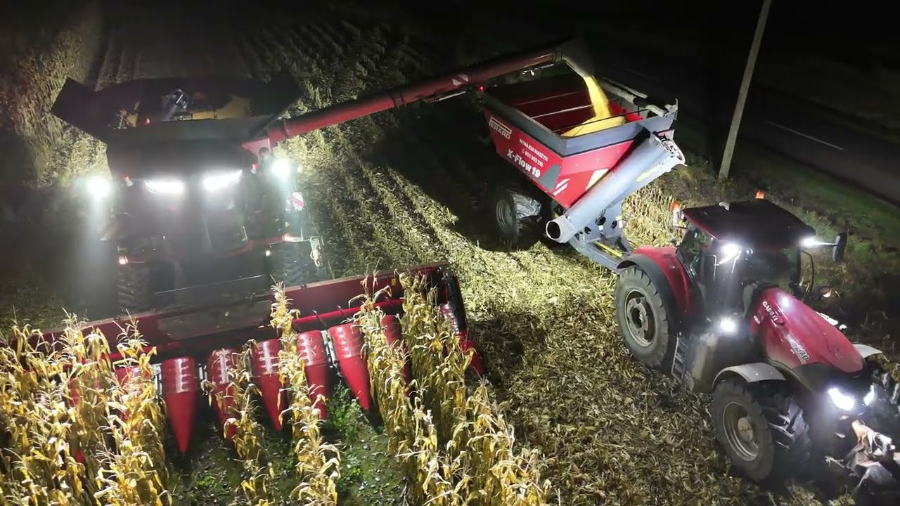 NOCNE KOSZENIE KUKURYDZY NA ZIARNO  GOŚCINNIE W GR BARTEK KOŚMICKI
