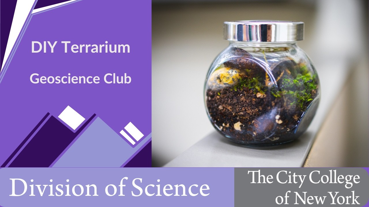 CCNY - DIY Terrarium
