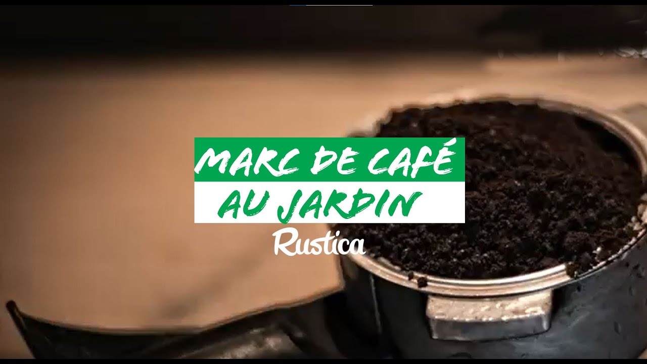 Marc de caf&eacute; au jardin : b&eacute;n&eacute;fique ou mal&eacute;fique ?