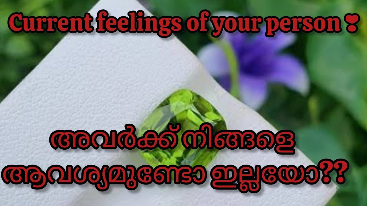 അവരുടെ മനസ്സിൽ നിങ്ങളെ കുറിച്ച് എന്താണ് ചിന്ദിക്കുന്നത് എന്നറിയാം വീഡിയോ കാണുക ❤️❤️#love #feeling