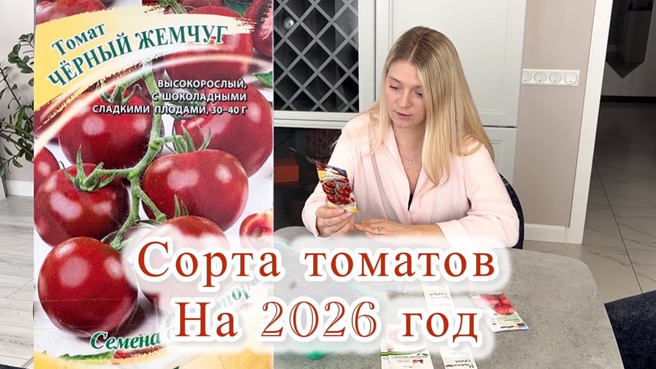 16.03|| Любимые сорта томатов|| рассада