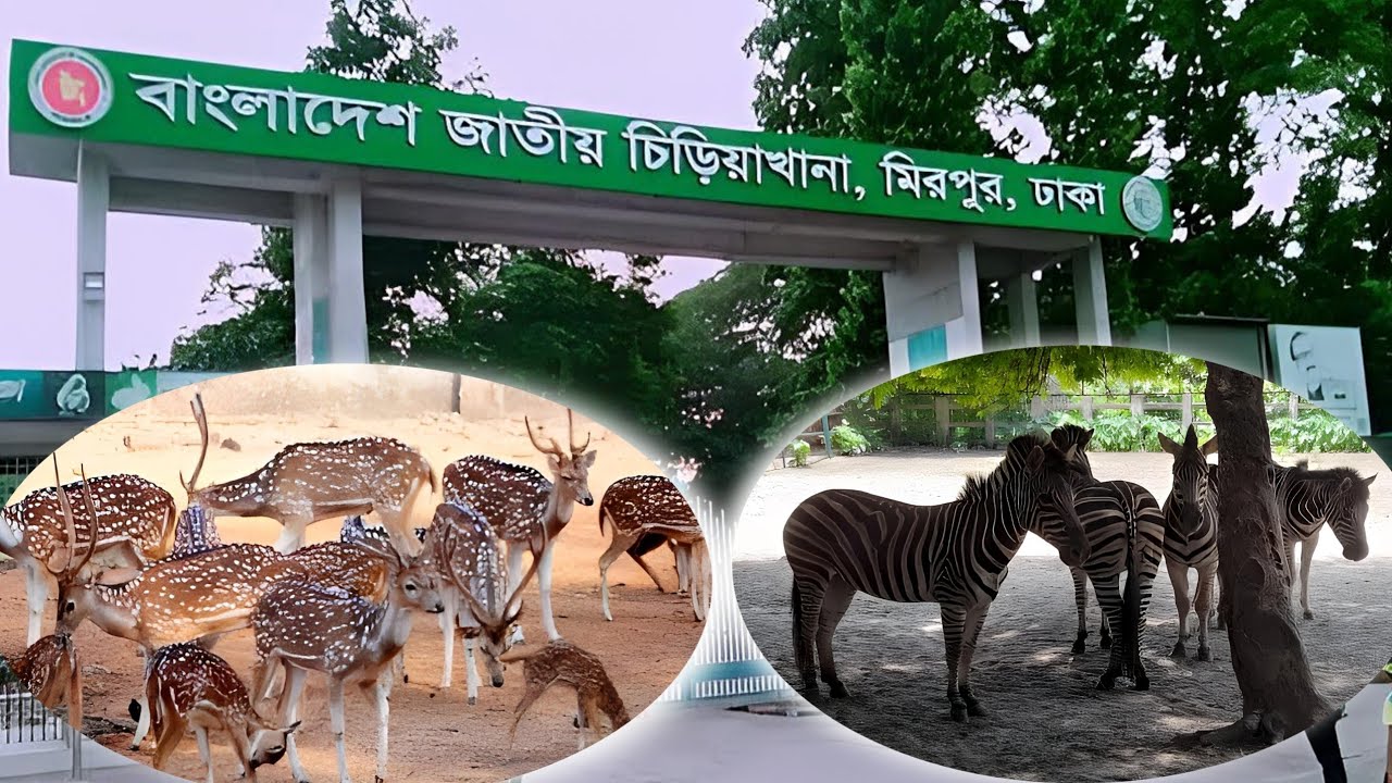 বাংলাদেশ জাতীয় চিড়িয়াখানা, মিরপুর । Bangladesh National Zoo, Mirpur, Dhaka