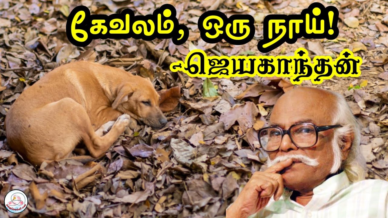 கதை#161: கேவலம், ஒரு நாய்! | எழுத்தாளர்: ஜெயகாந்தன் | கதை சொல்லி மகா | தமிழ் சிறுகதை |