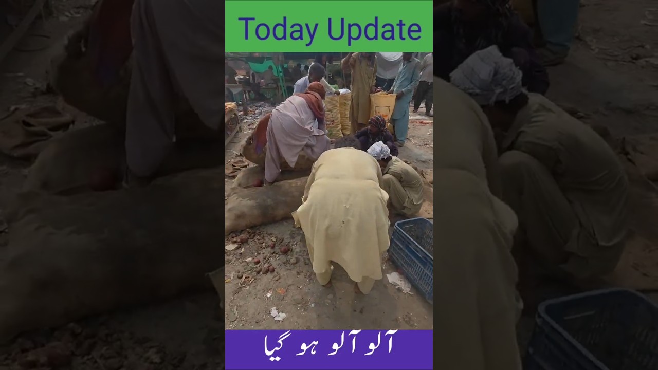 🥔 Potato Price Today in Lahore | Super Sabzi Mandi Lahore | آلو کا ریٹ آج سبزی منڈی لاہور میں