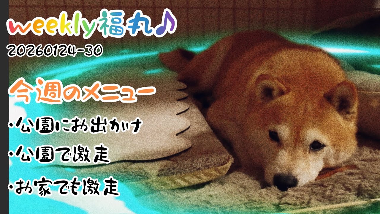 20260124-30〜母上とお散歩、今週は与野公園に行ってきました💨