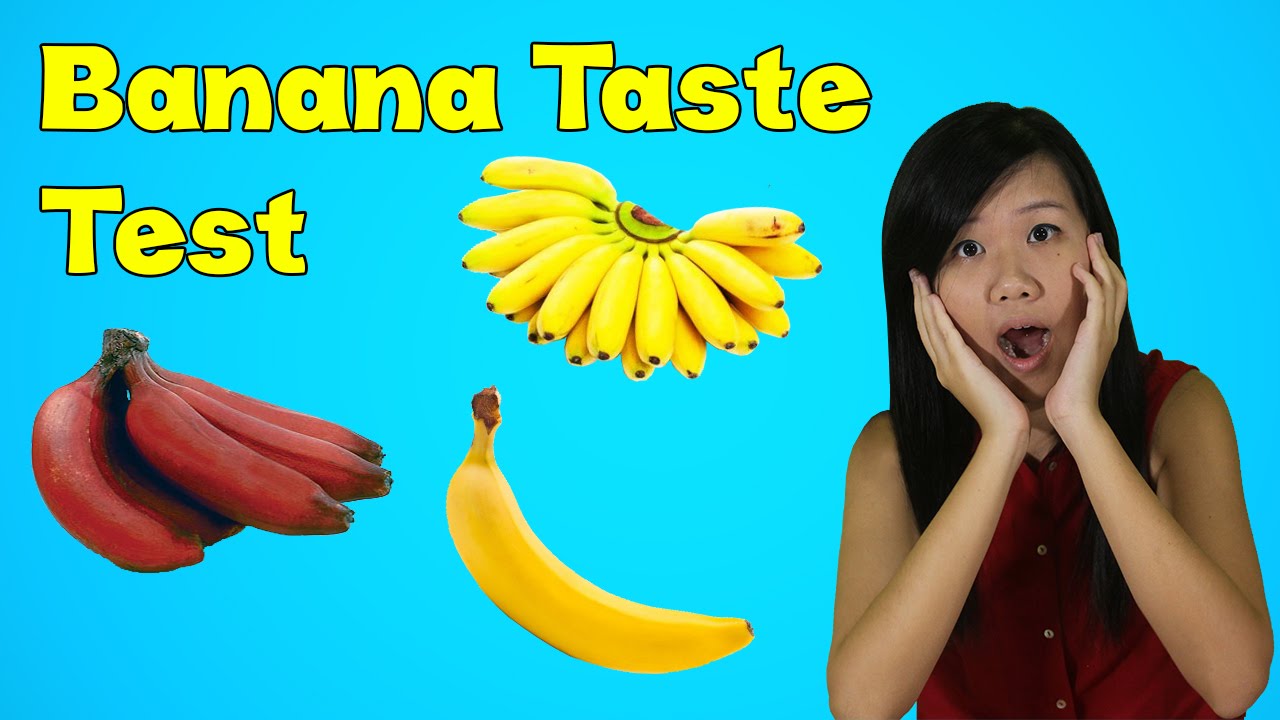 The Taste Test Ep 5 - Big Banana vs Small Banana vs Red Banana