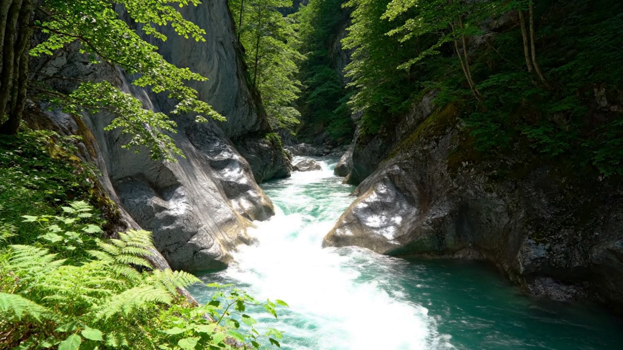 Flowing River & Birds Singing – Relaxing Nature Sounds for Stress-Free Sleep