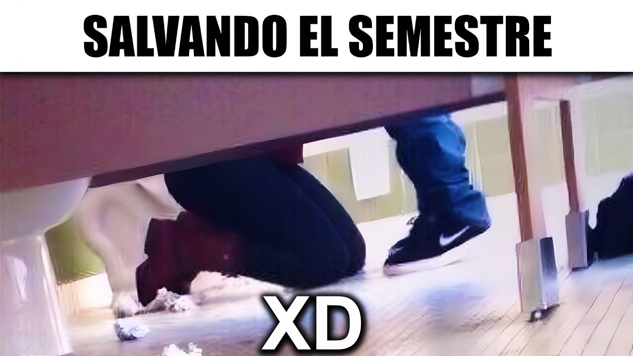 MEMES ALGO XD #102