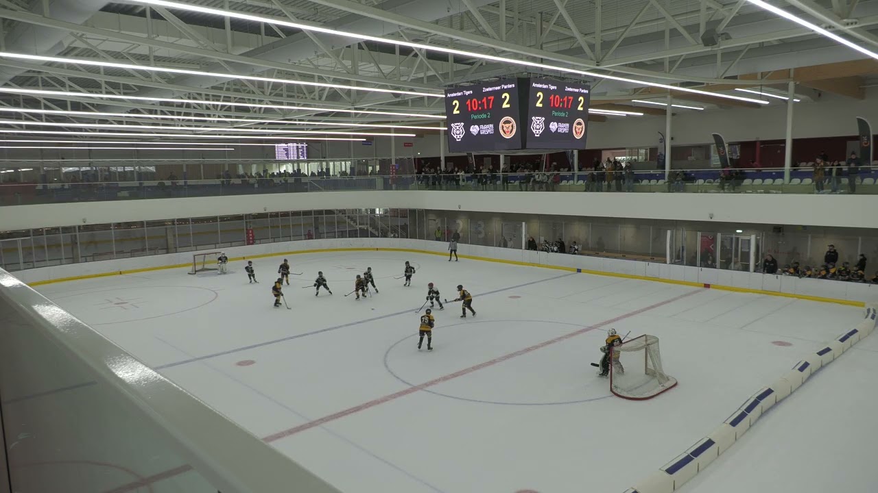 Amsterdam Tigers U11 vs Zoetermeer Panters U11                             01.02.2026