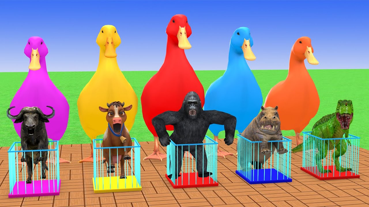 5 Giant Duck & Wild Animals Cage Game Cow Gorilla Rhinoceros Elephant Sheep Crossing Fountain
