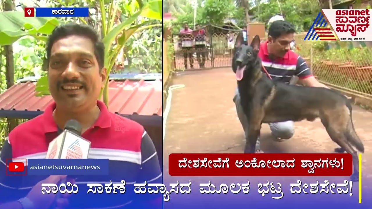 ದೇಶಸೇವೆಯತ್ತ ಅಂಕೋಲಾದ 17 ನಾಯಿಮರಿಗಳು ! Ankola Dogs Join Indian Army | Ankola News